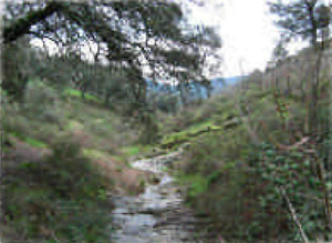 riachuelo